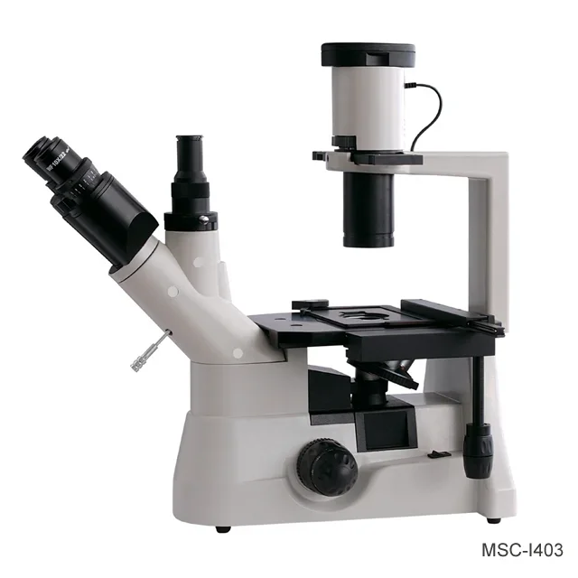 SCITEK Inverted Microscope Blaues, grünes, gelbes und Frosterglas. Filtermikroskop für das Labor