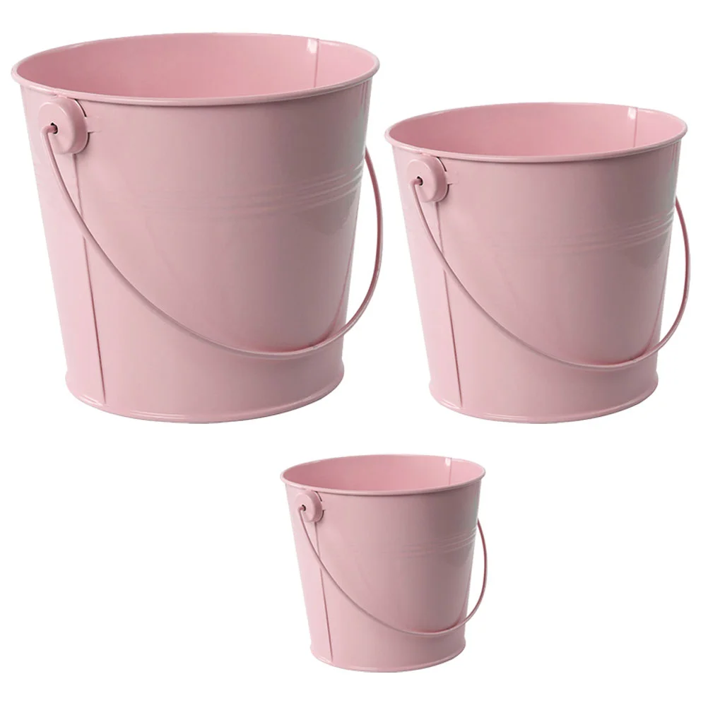 

3 Pcs Mini Bucket Planting Basins Handheld Flower Small Pot Iron Planters Flowerpot