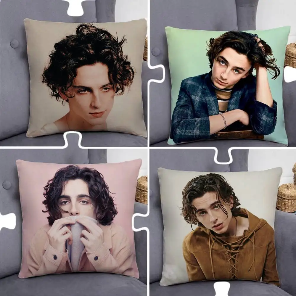 T-Timothee Actor Chalamet Creative patterned pillowcases for interior decoration office living room home