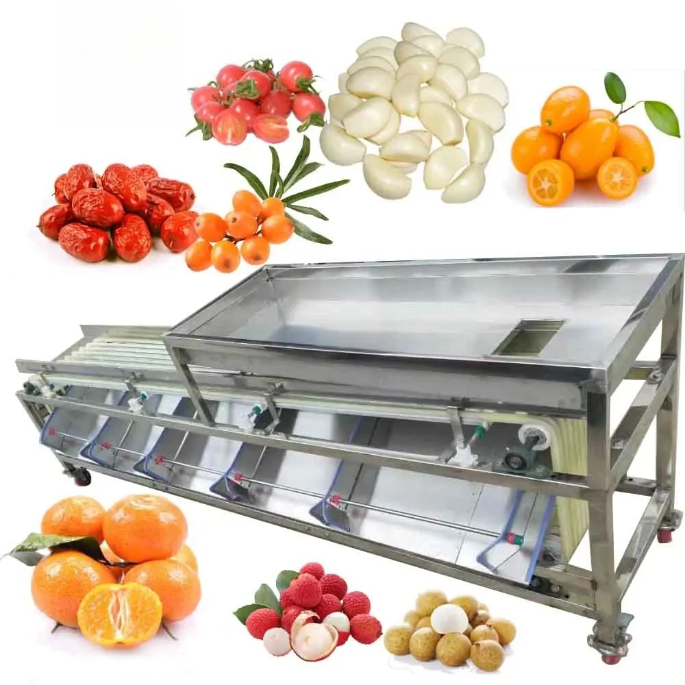 High Efficient Lemon Sorter Blueberry Date Garlic Avocado Sorting Tomato Fruit Potato Apple Grading Machine