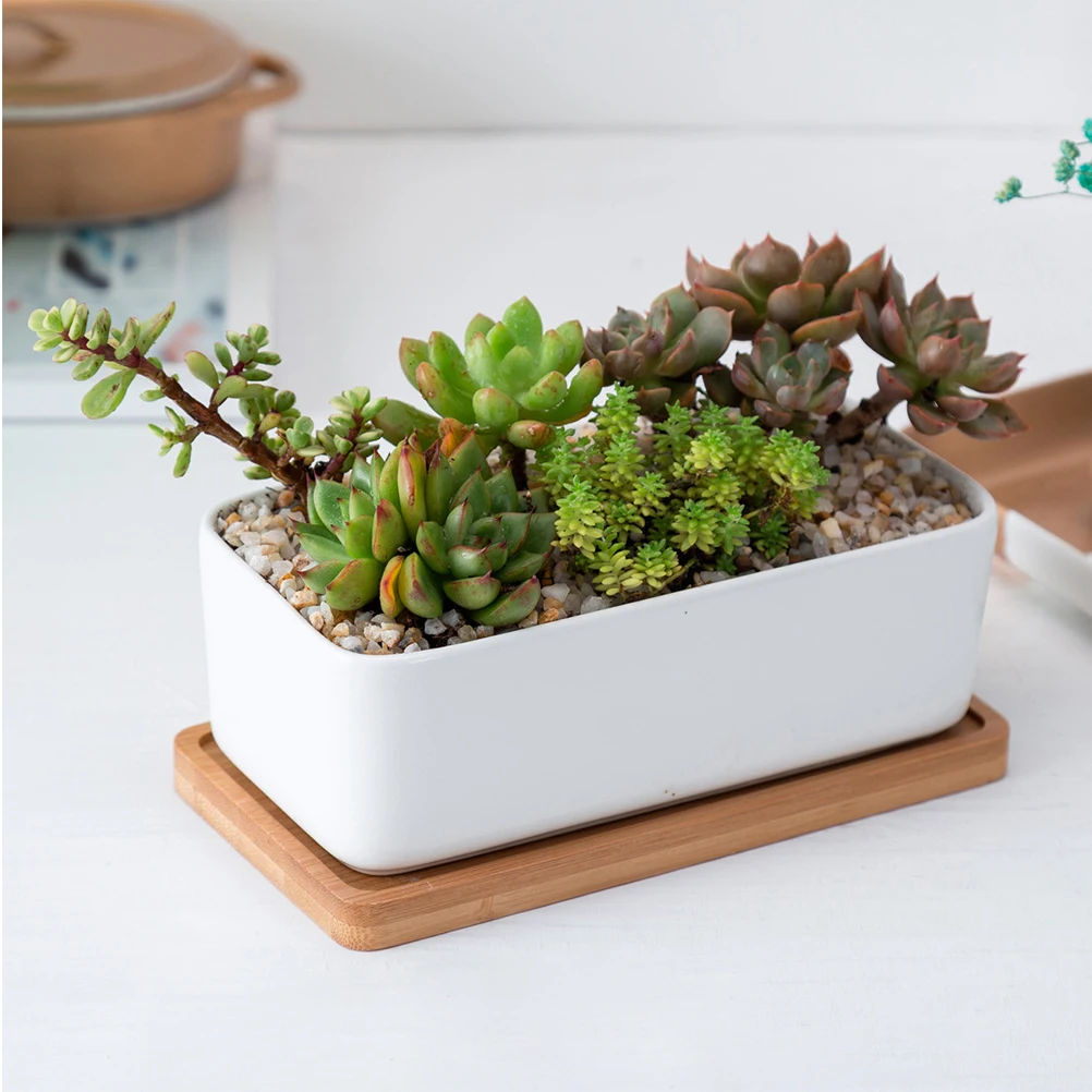 Ceramiczna, owalna doniczka na kwiaty z bambusową tacą, trwała, praktyczna, na balkon, do biura, samochodu, na sukulenty, bonsai, pojemnik na rośliny.