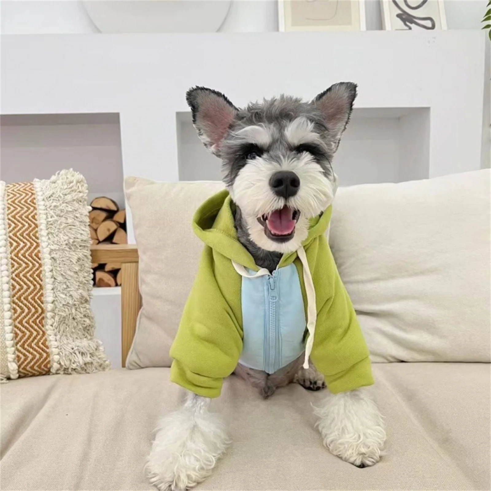 Cotton Flower Printed Jacket For Pets Small And Medium Dog Clothes Cute Hood Fashion Coat Kitten And Puppy Warm Sweater