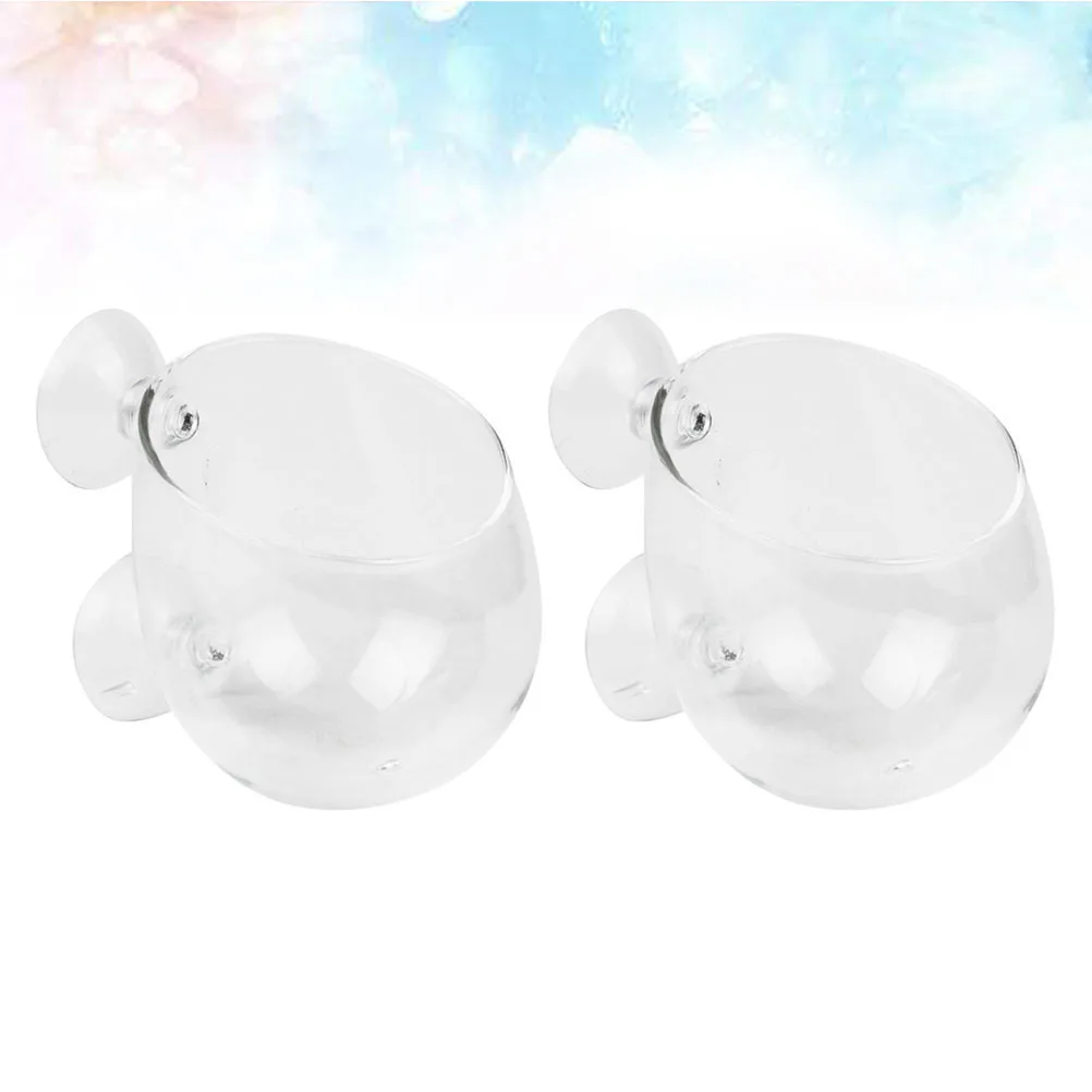 

2Pcs Water Grass Landscape Cups Glass Sturdy Aquarium Grass Basin Fish Tank Plant Holders Aquarium Plant Decoration Cups