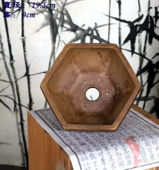 10 best sales עציץ בונסאי גדול - №5