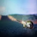 TARIN THOMAS Store - каталог товаров магазина на AliExpress