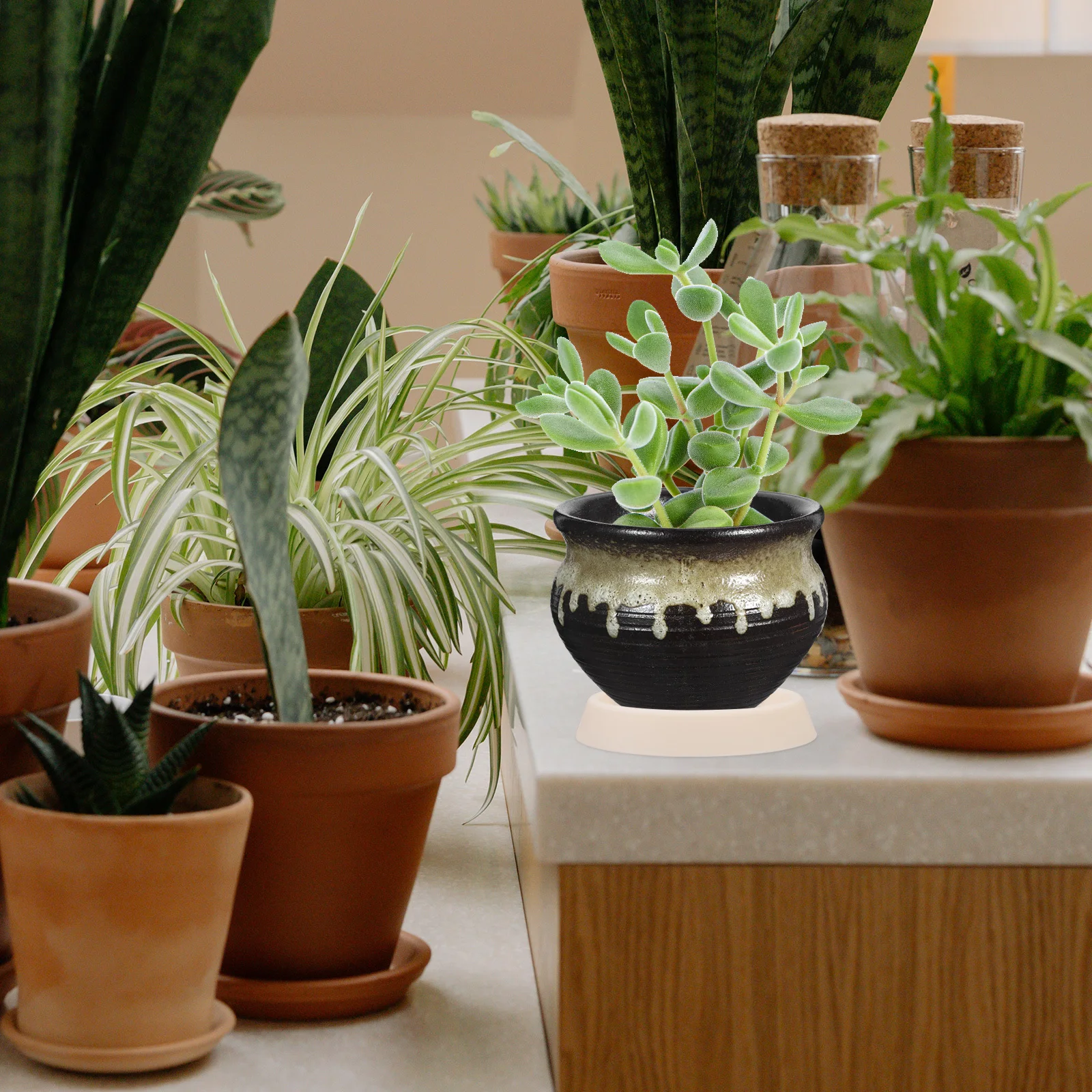 

10pcs Plastic Plant Saucer 4 Inch Round Beige Planter Base For Indoor Outdoor Pots Garden Drip Tray Succulents Water Protection