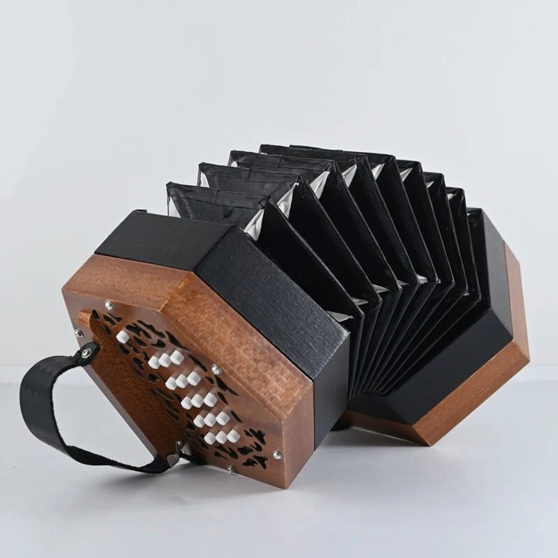 

Hexagonal Accordion Anglo English Hexagonal Piano Push-Pull Same/Different Sound with Textbook Manual