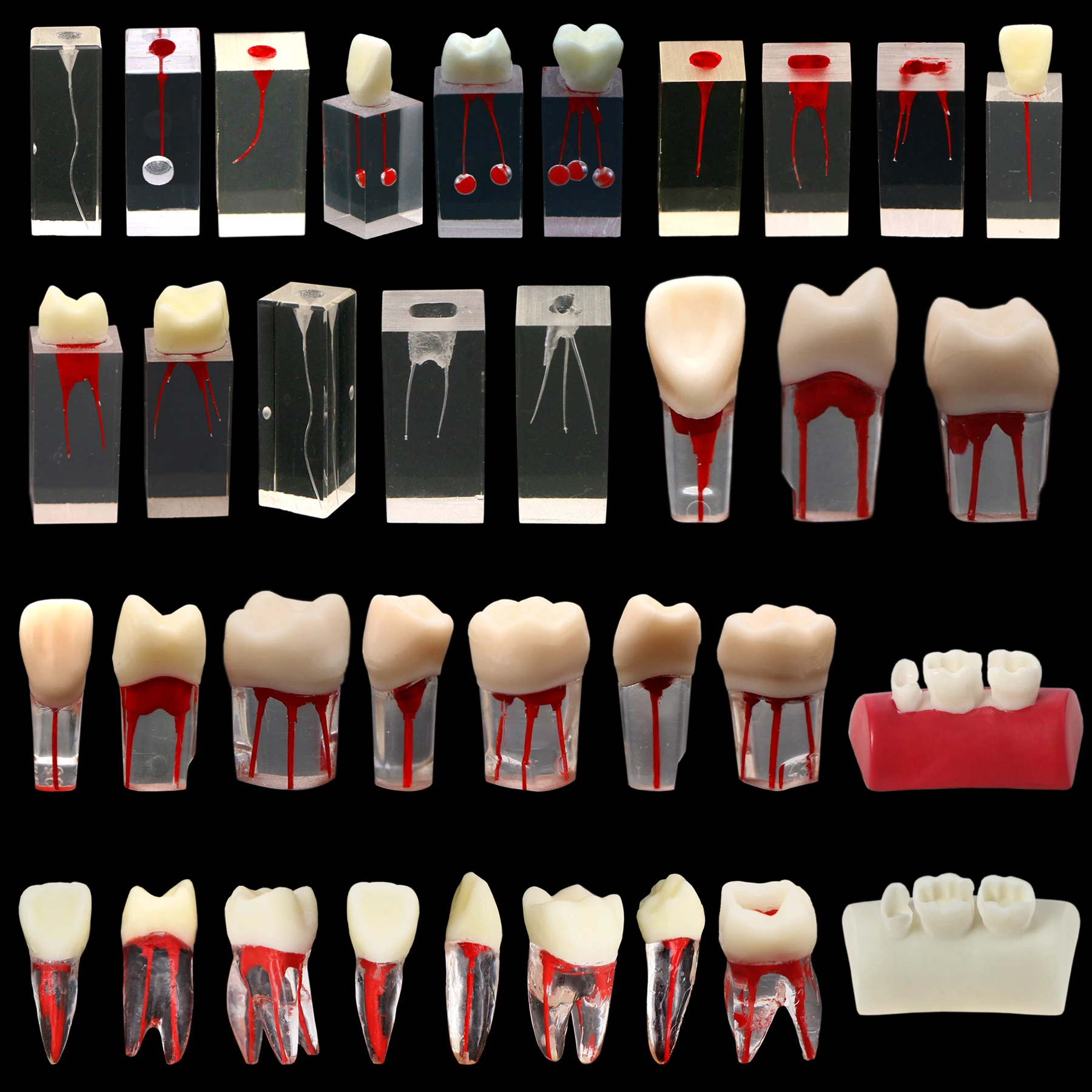 

Dental RCT Endodontic studies Practice blocks Root canal therapy Dental teaching models Root canal therapy Transparent resin