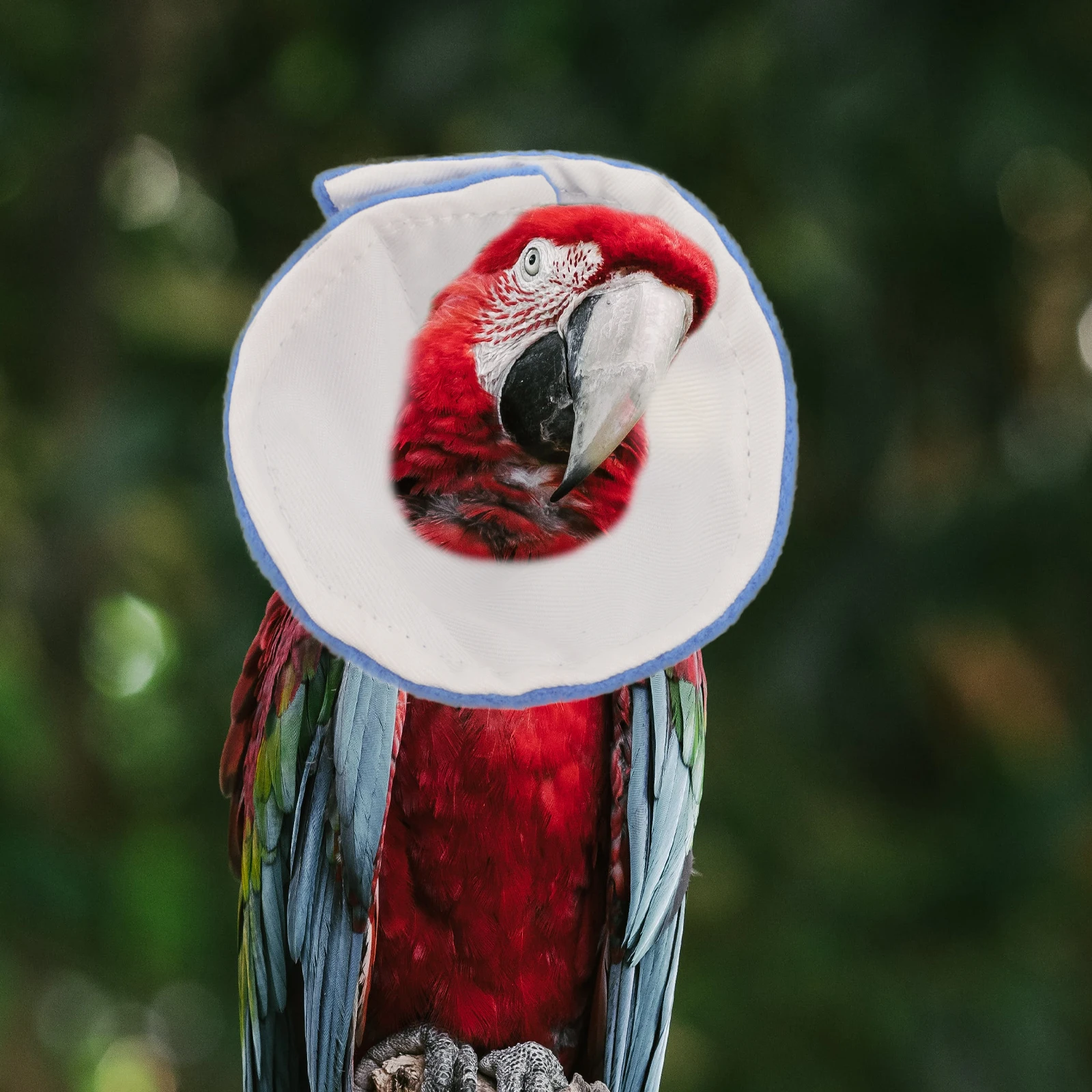 

Parrot Anti-Bite Collar Soft Breathable Bird Recovery Neckwear Washable Reusable Cone For Injury Healing Pet Protection