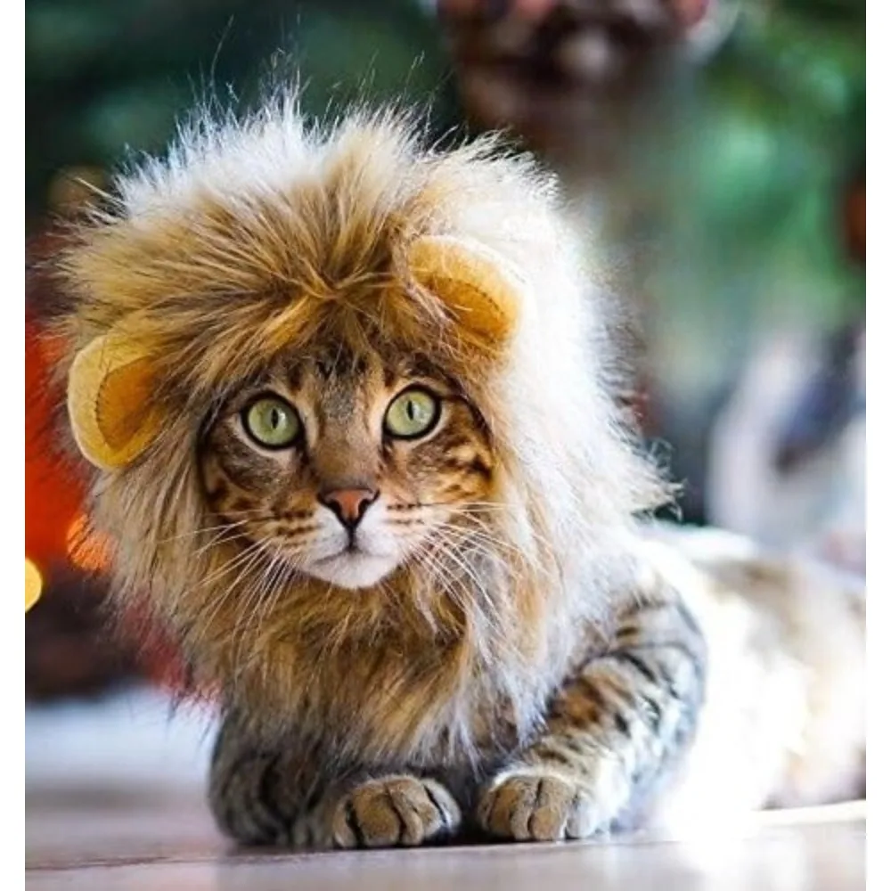 Thumbnail 2 - #14 Trending Cat Apparel Right Now