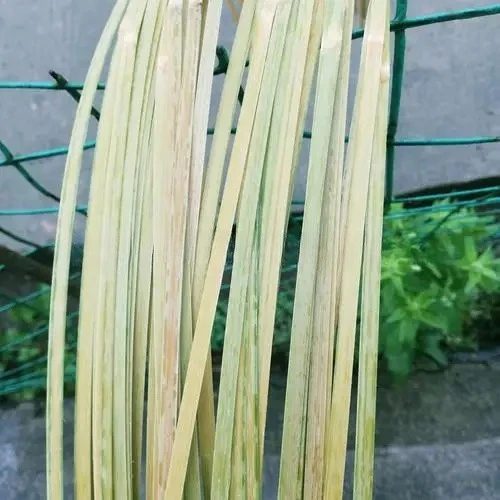 Machine de séparation d'ouverture de bambou, Machine à trancher le bambou manuelle, Machine de superposition de bandes de copeaux de bambou, offre spéciale