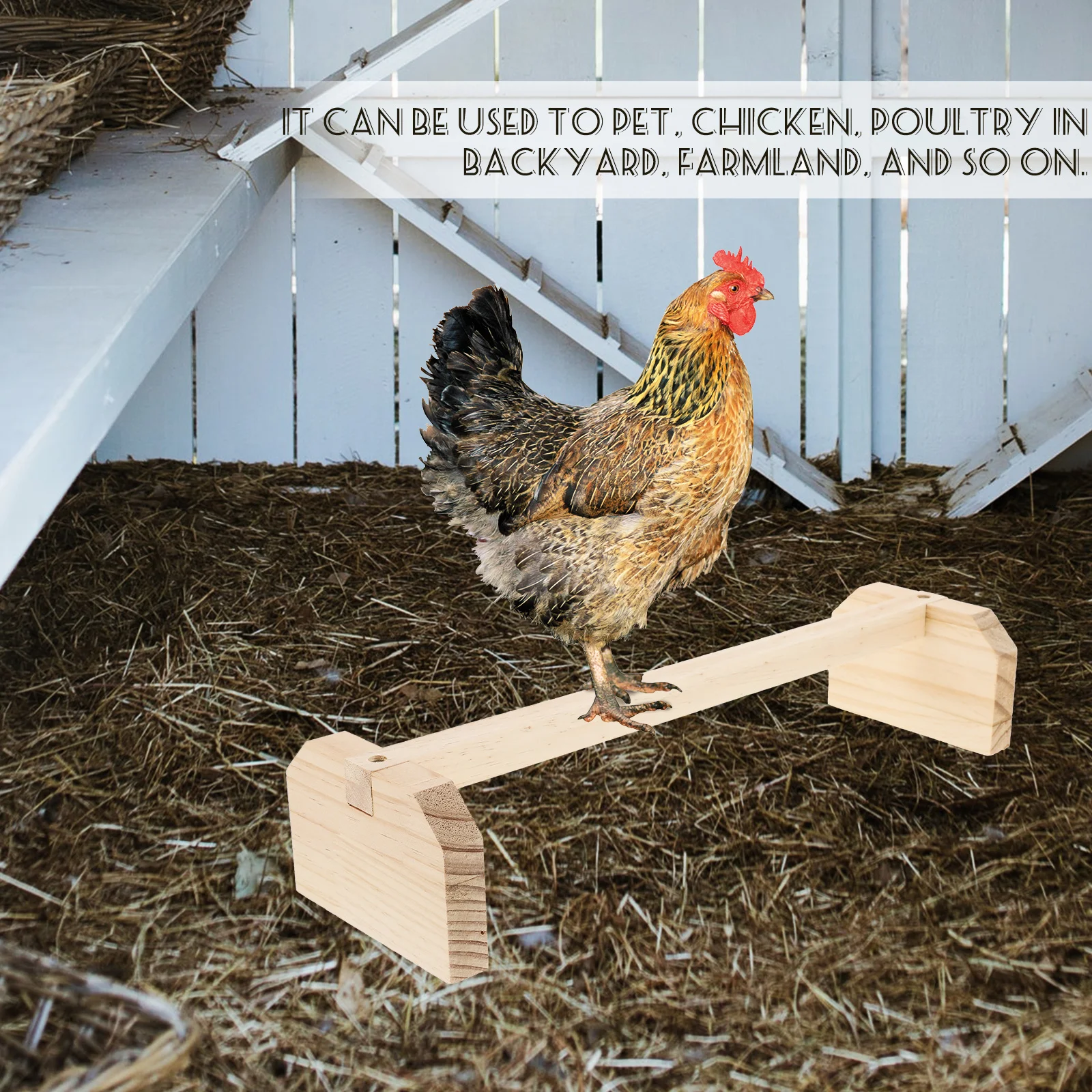 

2Pcs Bird Stand Wood Perch for Parrot Chicken Conure Lovebird Cage Accessories Training Standing Exercise Tool