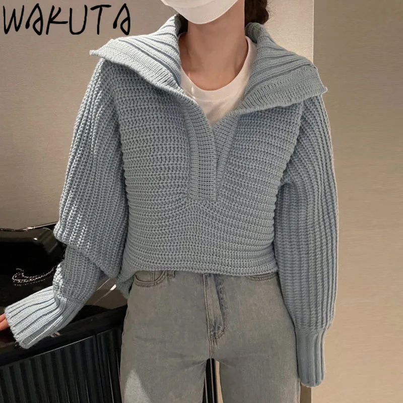 WAKUTA Blue Pink Turn Down Neck Sweaters Women 2024 Simple Lazy Trendy Loose Long Sleeve Solid Pullovers Casual All Match Mujer