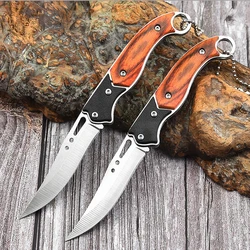 Stainless Steel Folding Fruit Knife Outdoor Pocket Knife Small Knife Camping Knife Perfect for Fruits Vegetables Knives