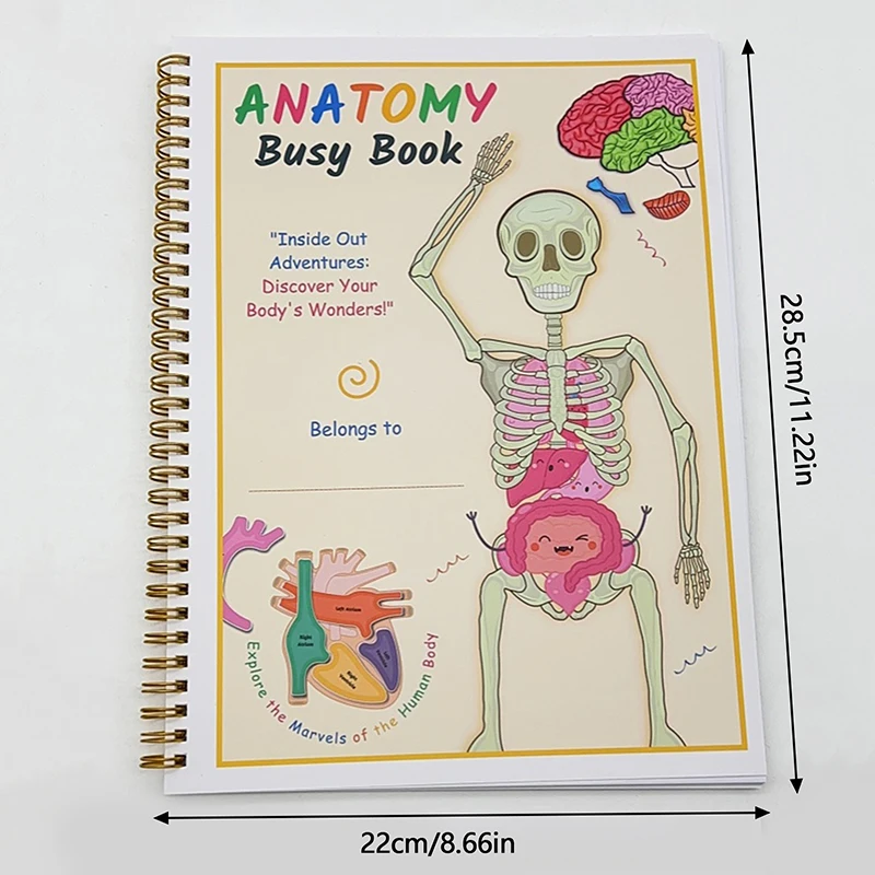 Anatomia umana Libro occupato Organo umano Partita Anatomia interattiva prescolare Libro occupato per bambini Giocattoli Montessori Impara la cognizione