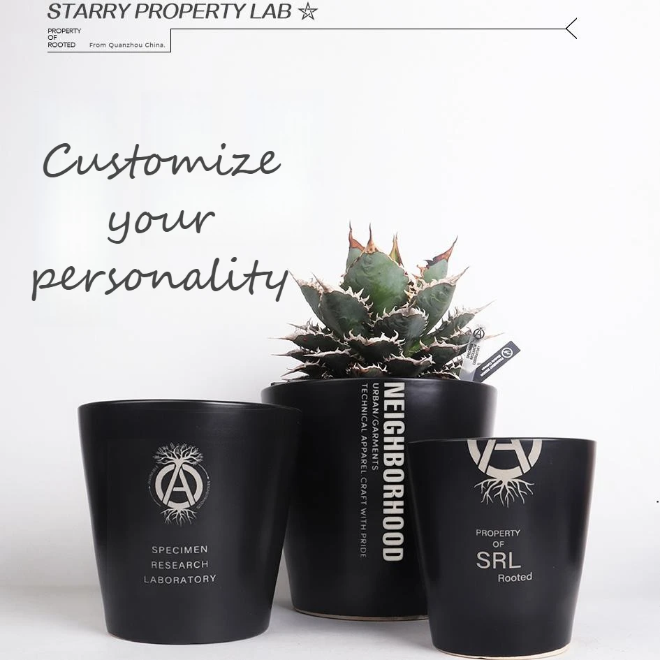 NBHD 119 Handmade Ceramic Tortoiseshell Dragon Huibi Suxiao Big Black Ivory Palace Trend Plant Pot Plant Bowl SRL Flower Pot