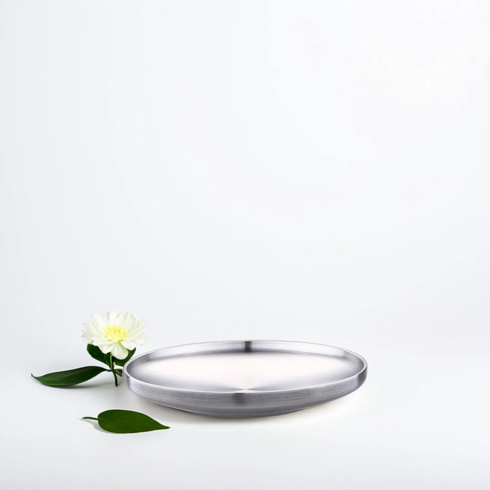 23Cm Round Stainless Steel Dish Dinner Plate with Wire Drawing Finish Double Wall Lightweight Non Slip Kitchen Tableware