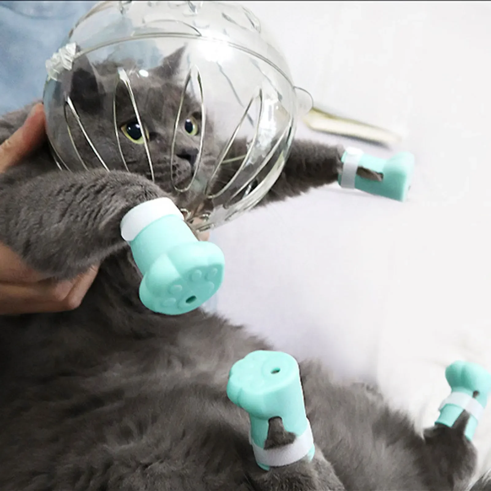 CANBOUN Cat Muzzle Anti-Bite Breathable Protective Space Hood Anti-Licking Grooming Mask Cats Bathing Grooming Bag Small Pets Su