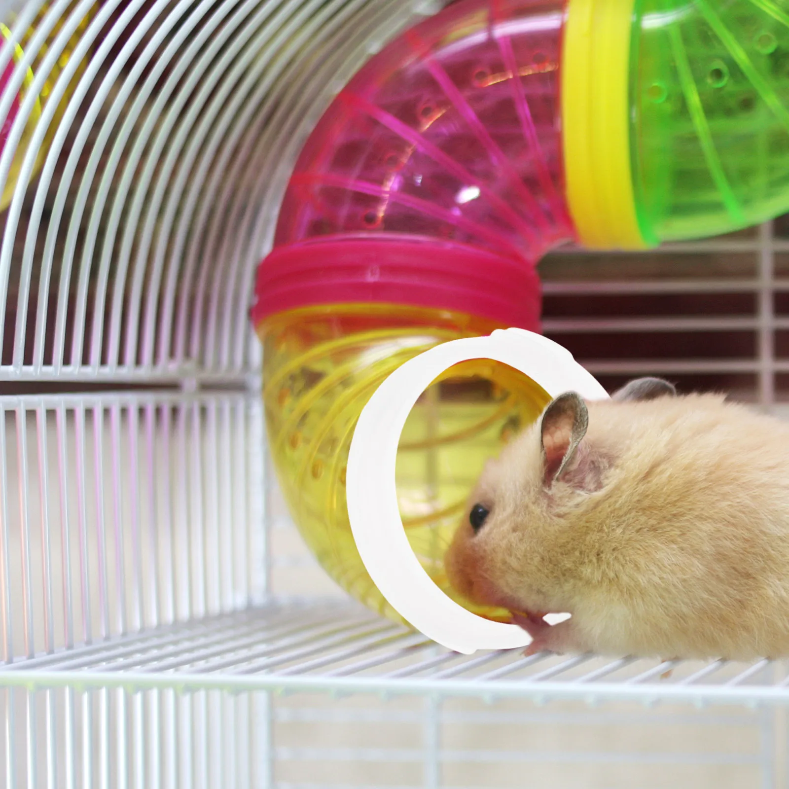 10Pcs Plastic Hamster Tunnel Ring Connector for DIY Cage Setup Sturdy Clear Tube for Hamsters Squirrels Hedgehogs