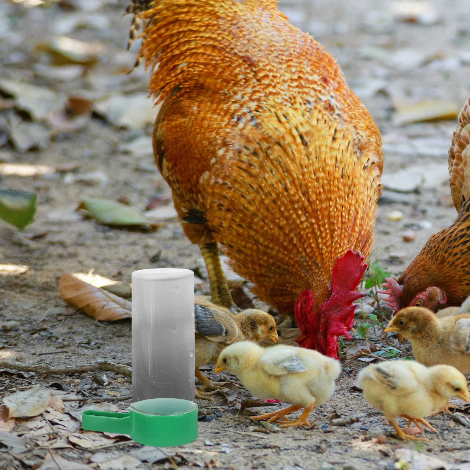 

1pcs Automatic Poultry Feeder Chicken Goose Food Container Anti-Spatter Easy Clean Simple Design Pet Supplies Chick Feeder Duck