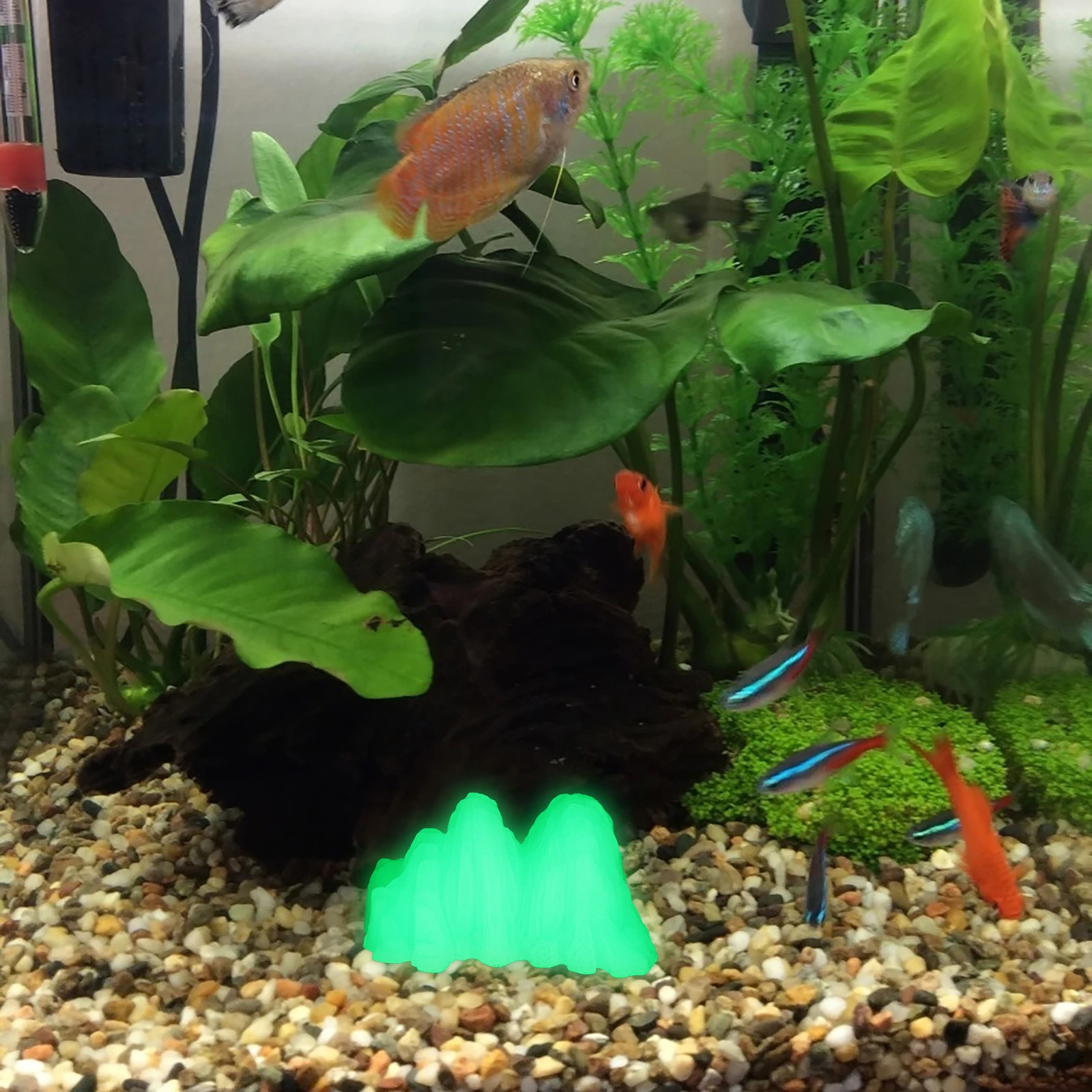 

Fish Tank Decorative Rockery Night Glow Plastic Aquarium Accessory Realistic Compact Fish Tank Landscape Decor