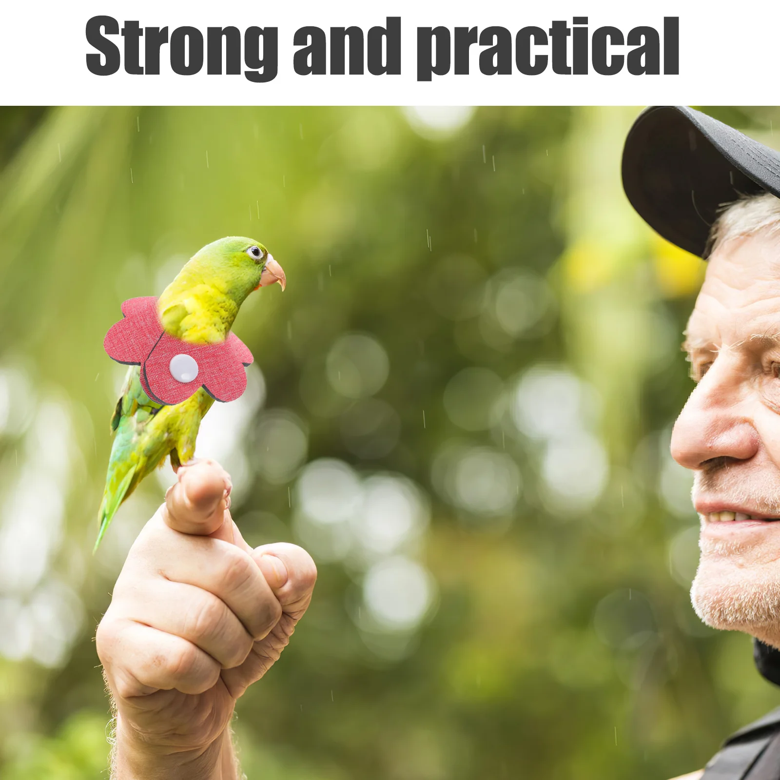 

2Pcs Pet Bird Collar Anti-Biting Protective Neck Cover for Parrots Budgies Lovebirds Cone Collar Parrot Collar”