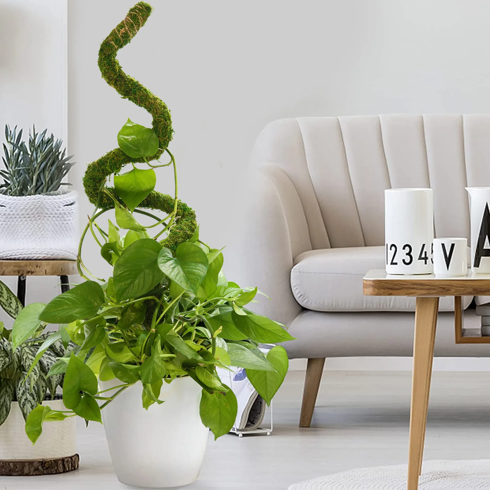 1pc Bendable Moss Pole for Plants Monstera Moss Poles for Climbing Plants  Plant Stakes for Indoor, Monstera Plant Support