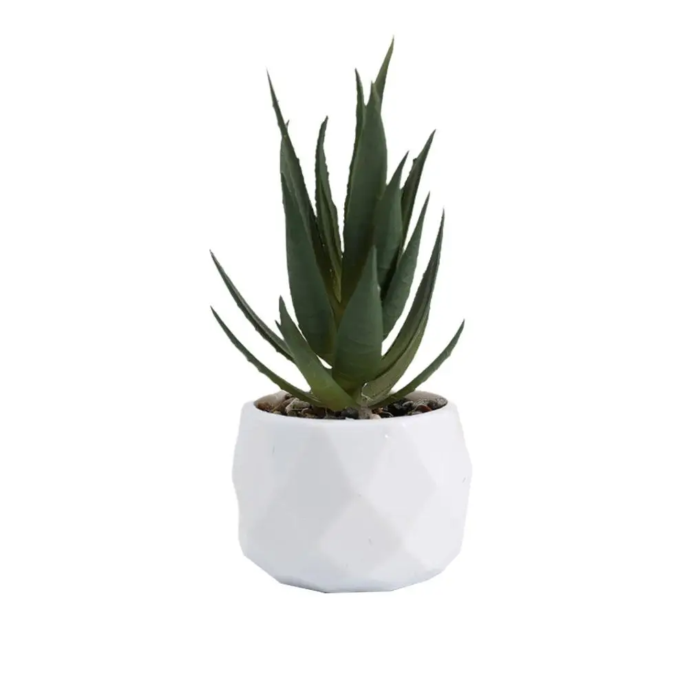 Simulation Ucculent Bonsai Plants Artificial Succulent Home Ornaments Small Decoration Potted N5b9