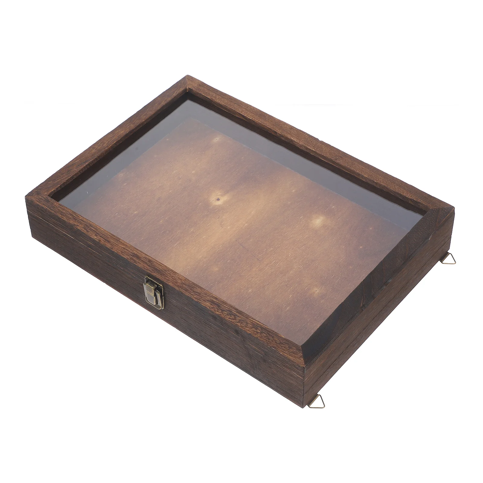 

Insect Display Box Vintage Specimen Box Frame Wood Showcase Holder Dried Flower Butterflies Acrylic Lid Retro Style Jewelry Case