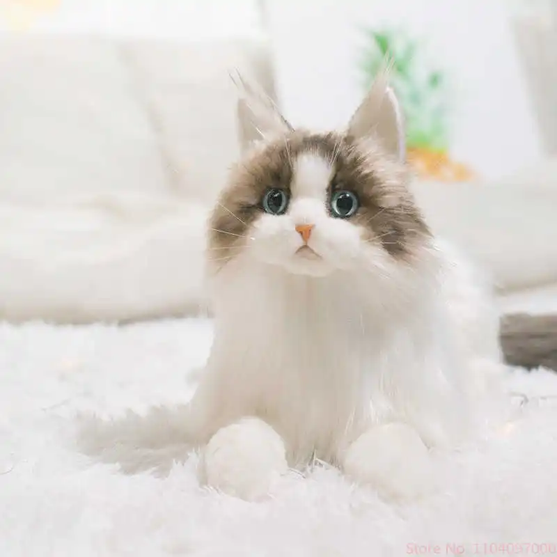 Simulação fofa ragdoll boneca de pelúcia kawaii gato macio animal de pelúcia menina travesseiro de dormir aniversário presente de natal decoração de casa