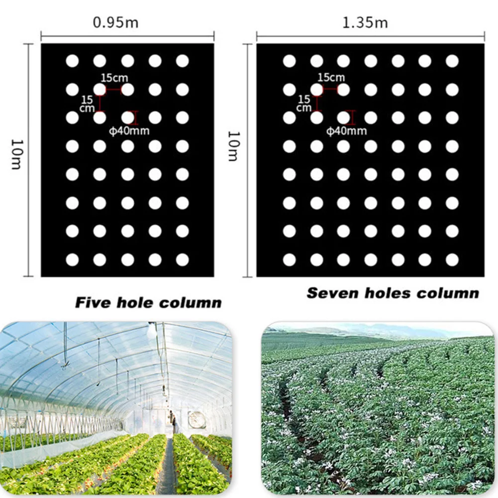 Film de paillage plastique pour la plantation d'ananas - Durable et efficace Film de paillage plastique pour la plantation d'ananas - Durable et efficace
