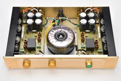 Weiliang Audio Clone Fm300a Hi-fi Power Amplifier