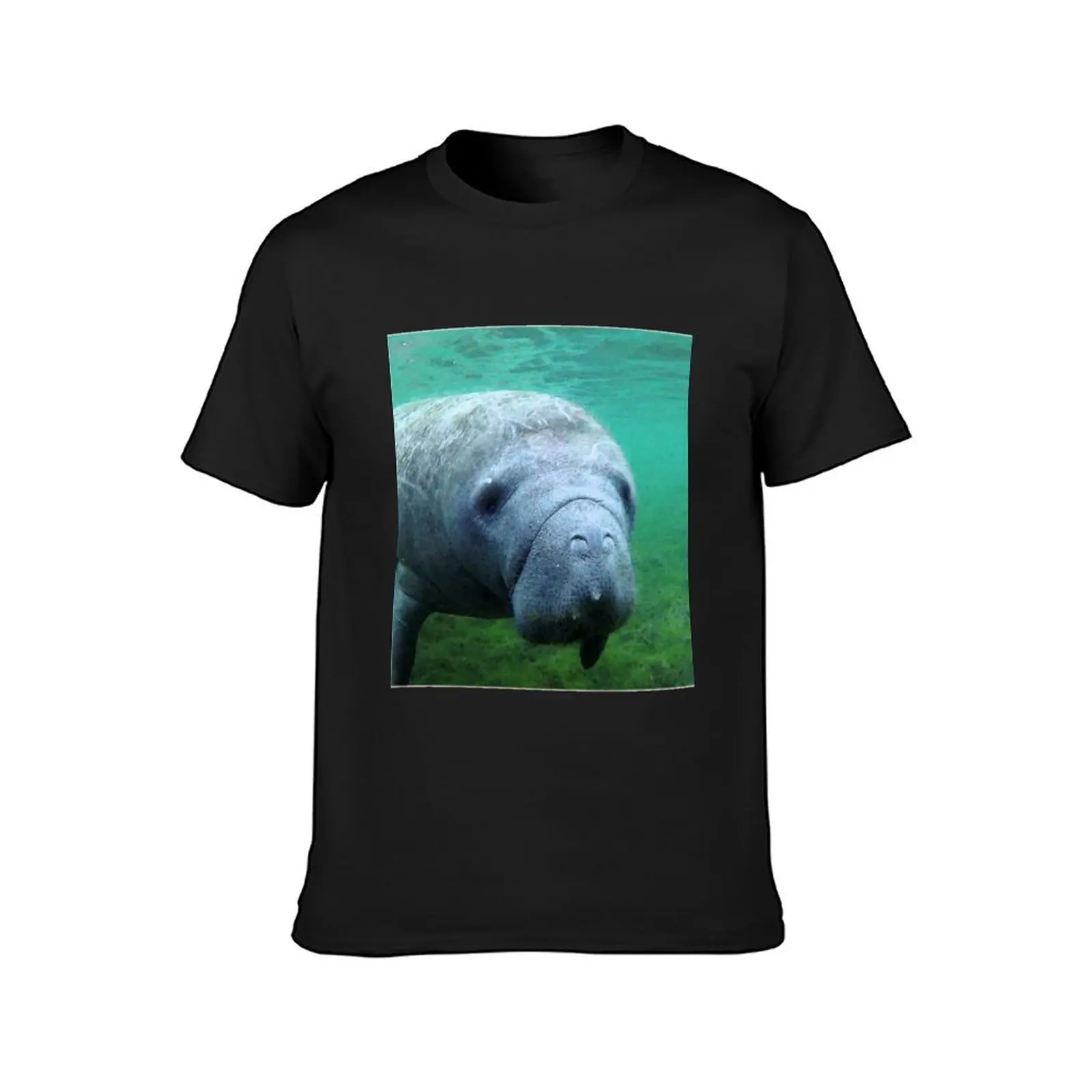 Watercolor Manatee 11, Three Sisters Spring, Crystal River, Florida T-Shirt quick drying graphics tees black t shirts for men