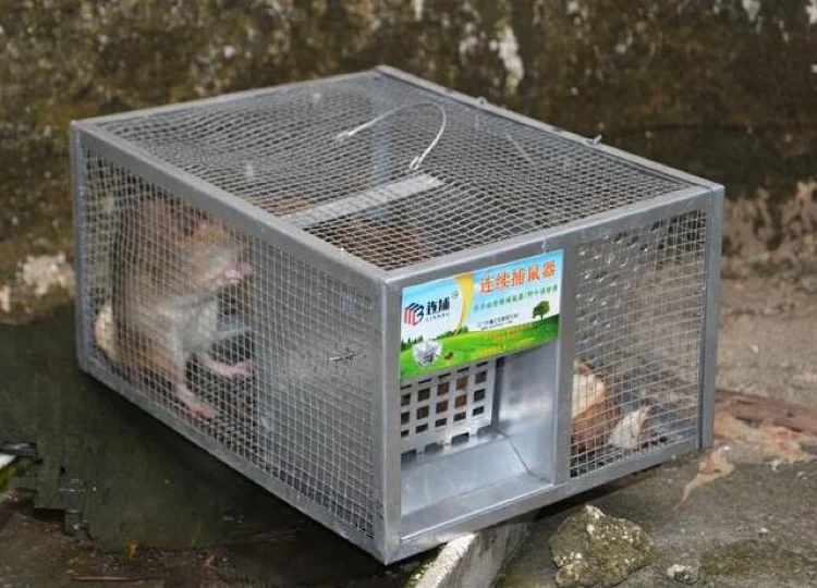 Household Large automatic continuous Reusable Catch Mouse Traps Bait Snap Catcher Mice mousetrap Hunt Rat Mice Rodent Cage