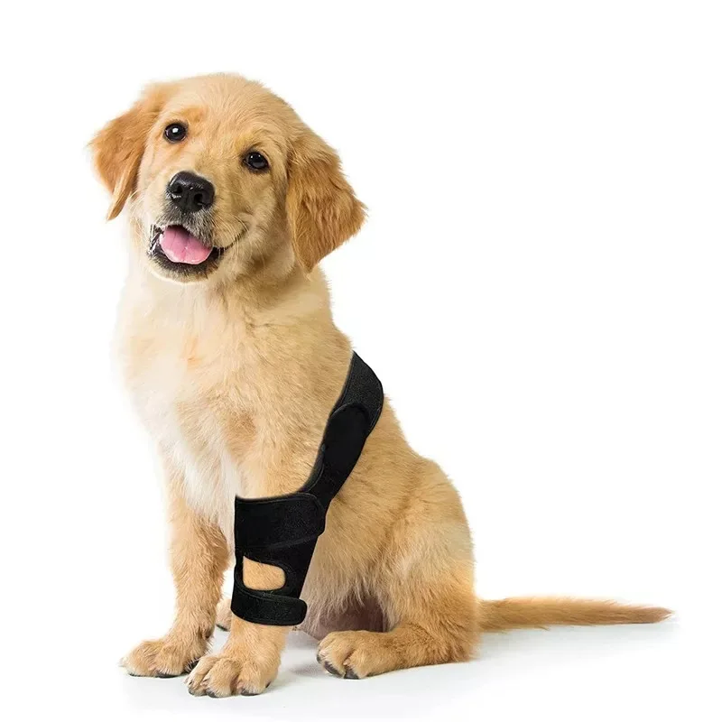 Hot-selling dog knee support gear, soft and breathable elbow stabilizer, pet joint pressure relief leg guard