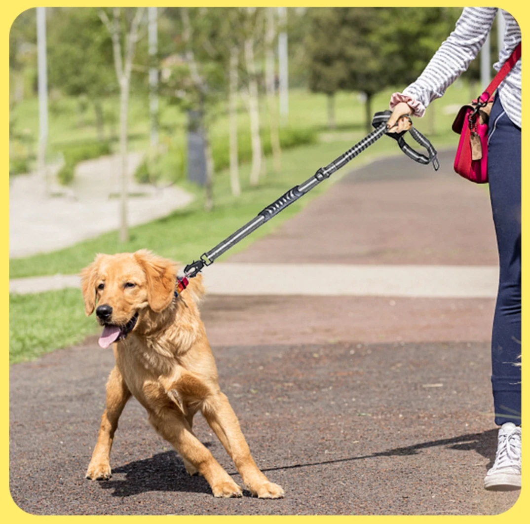 Heavy Duty Dog Leash with Elastic Bungee, Shock Absorption, Safety Clip Included, Medium and Large Dogs