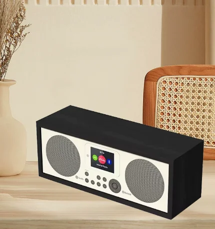 D2/D4 Wifi Internet Digitale Radio  HD Multifunctionele Bluetooth-luidsprekers
