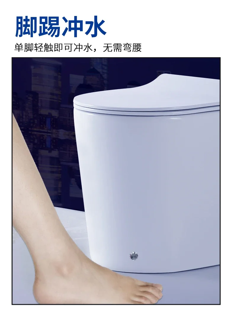 Flush toilet household small apartment