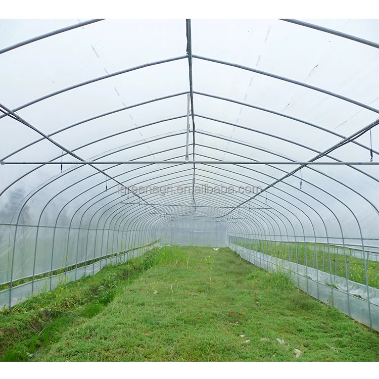 Small Agricultural PE Hoop Tunnel Greenhouse Galvanized Steel Vegetable Flower Growing Serre Agricole Invernadero