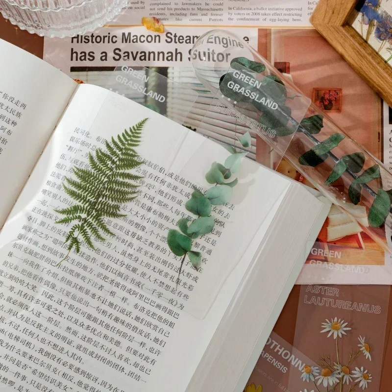 Marque-page en PVC, plante naturelle, fleur, feuilles, marque-page, livre de lecture, marqueur de page, fournitures de papeterie, Kawaii, ensemble