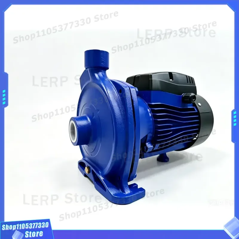 High Pressure Electric Water Pump for Garden Irrigation System Automatic Sprinkler Booster Pump 12V DC Submersible Clean