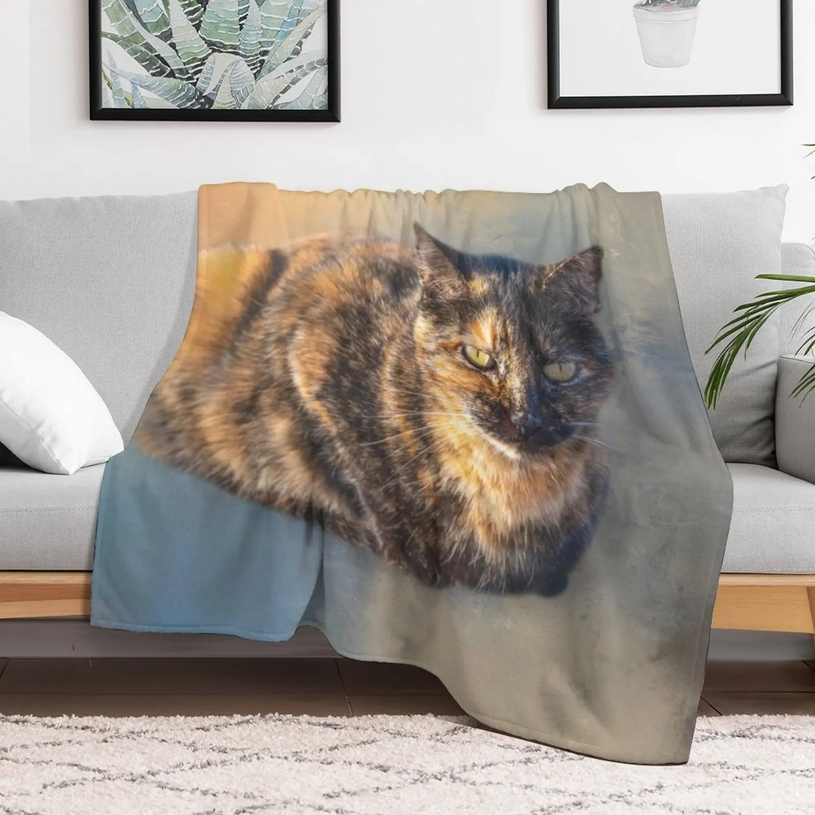 Tortie Cat 02 Throw Blanket Weighted Bed Fashionable valentine gift ideas bed plaid Blankets