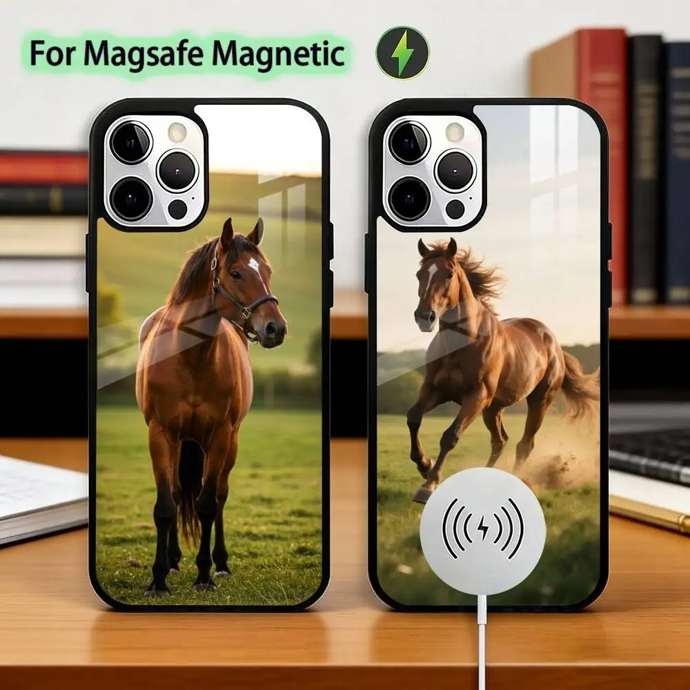

Horse A-Animal Phone Case For iPhone17,16,15,14,13,12,11 Plus,Pro Magnetic For Magsafe Wireless Charging