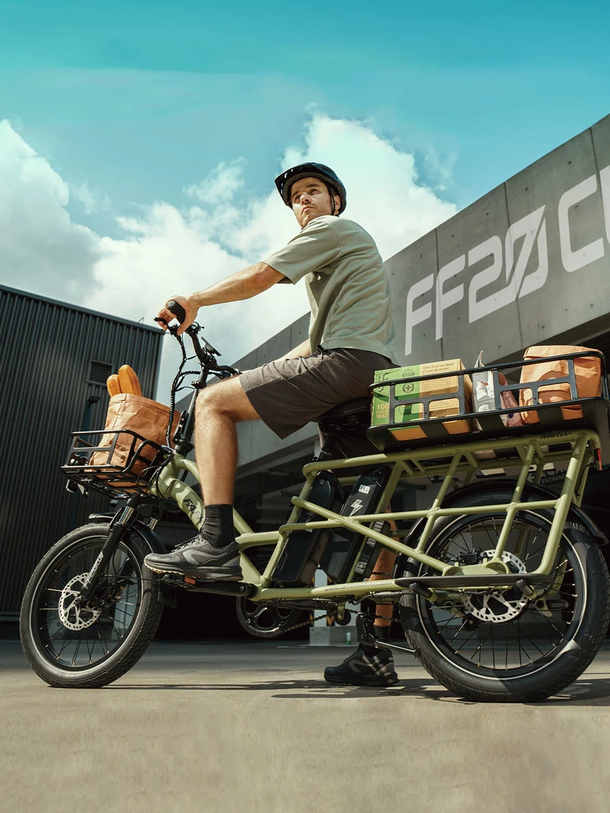 Fafrees FF20 CUV Elektrofahrrad für Erwachsene 250W Cargo E-Bike mit 48V 24Ah/30Ah Abnehmbarem Akku 100-120km Reichweite