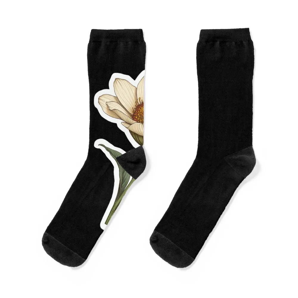 

Lily Luxe Socks snow Running luxury funny gifts Men's Socks Women's