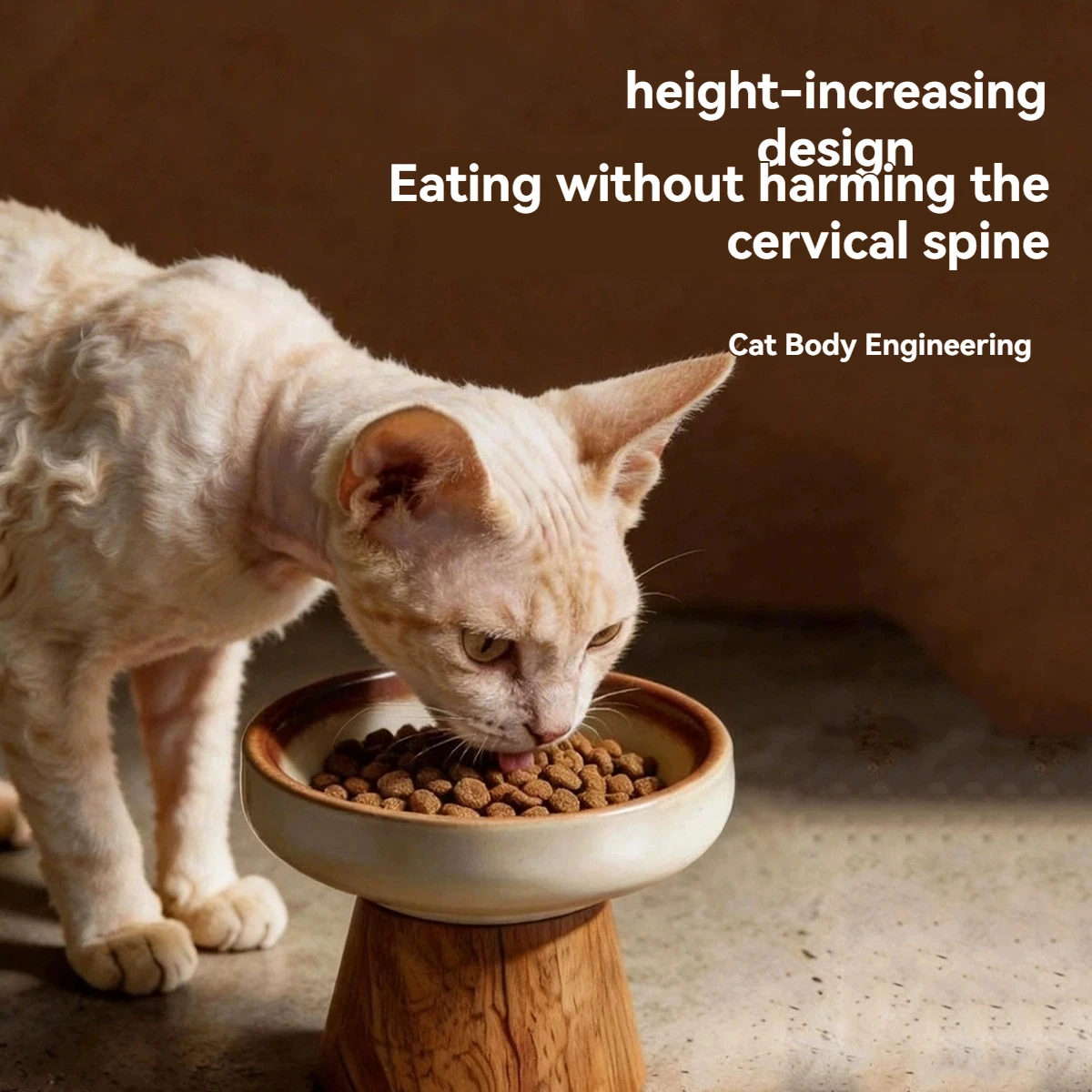 Thumbnail 4 - #21 Top Rated Elevated Cat Feeding Bowls to Buy in 2026