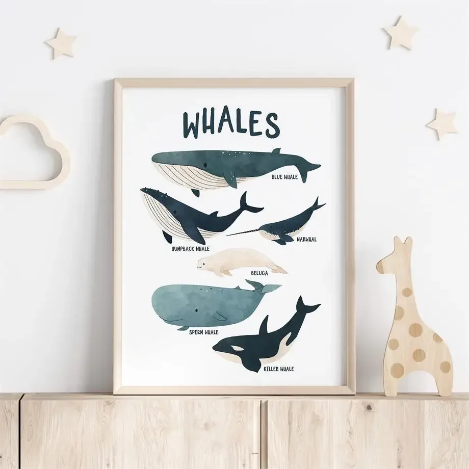 Whale Shark Ocean Animal Numbers Alphabet Under The Sea Nursery Print Poster Wall Art Canvas Painting Pictures Kids Room Decor