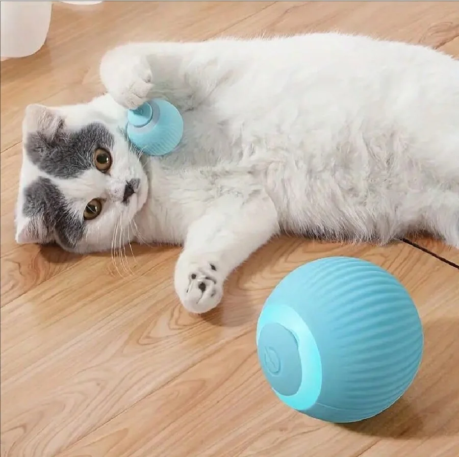 

Smart cat toys Cat interactive balls Smart rolling balls Automatic cat toy balls Cat electric toys Electronic cat toys