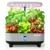 Indoor Hydroponic Systems, Small Garden Supplies & Artisan Pottery | Faebloom 11 Hydroponics Growing System Premium 16-Pod Indoor Herb Vegetable Fruit Kit Gray 8L
