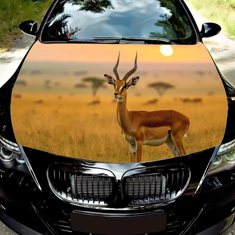 Antelope Under The Sunset Car Hood Wrap Color Vinyl Sticker Truck Graphic Bonnet DIY Auto Accessories Decoration Decal Gift